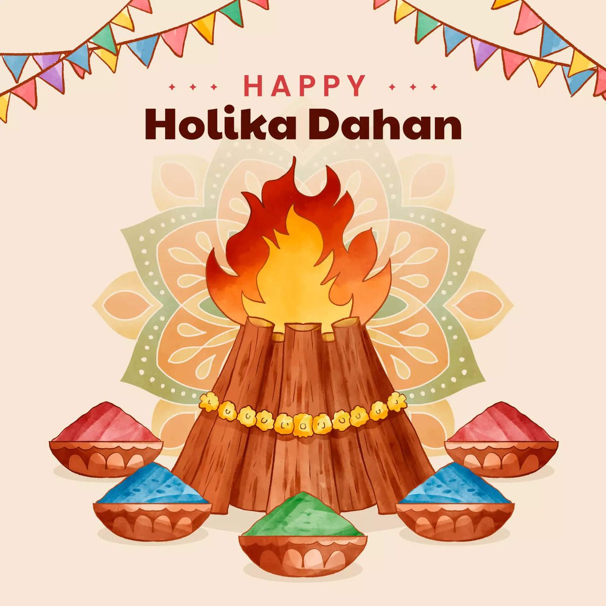 24th March 2024 Holika Dahan HD Photos